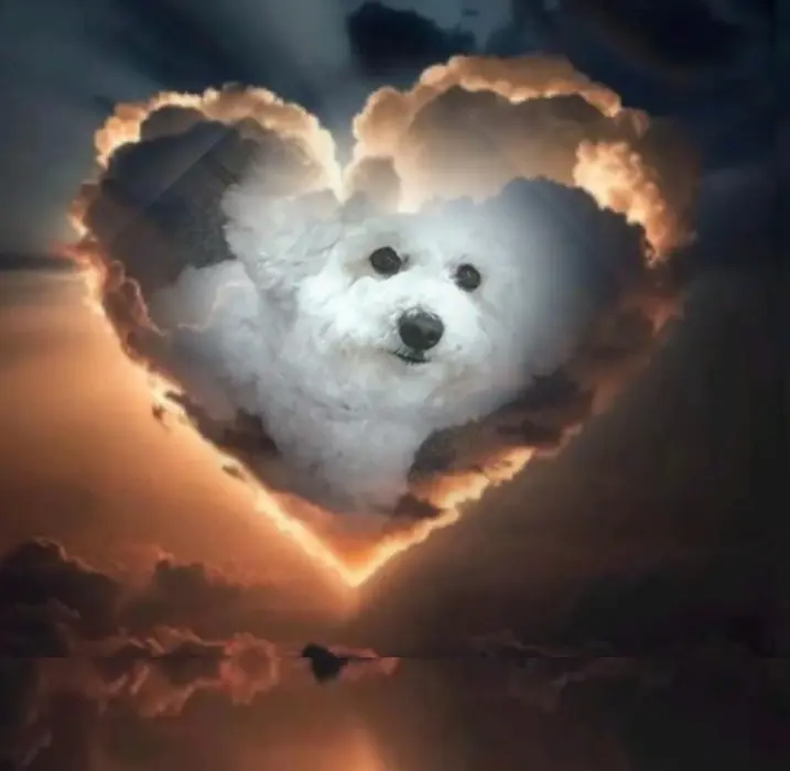 Andachtsbild von Sabine mit Kaspar Bärchen &Jessy tief im ♥️