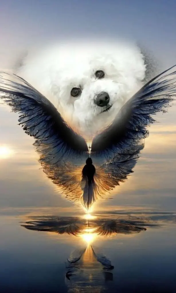 Andachtsbild von Nino's 5.⭐️Gedenkjahr