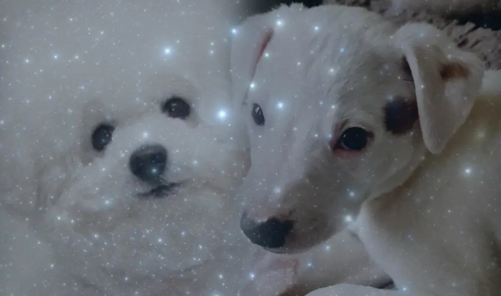 Andachtsbild von Dulce mit Dir im Herzen ♥