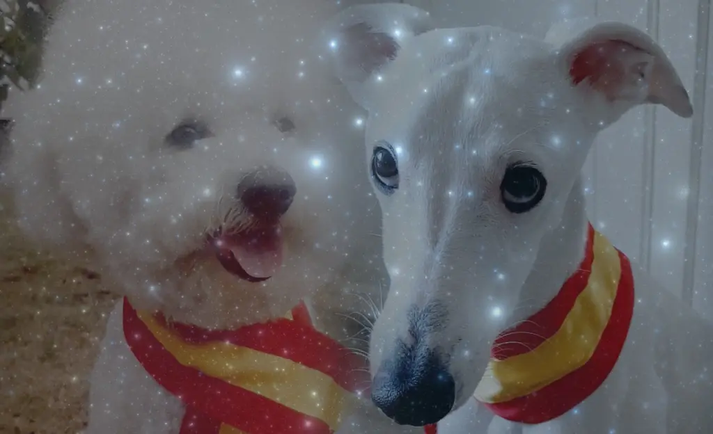 Andachtsbild von Deine Mama