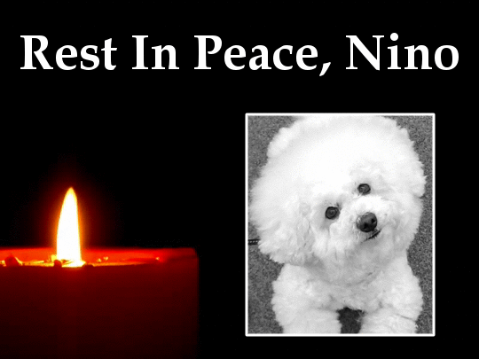 Andachtsbild von Deine Mama