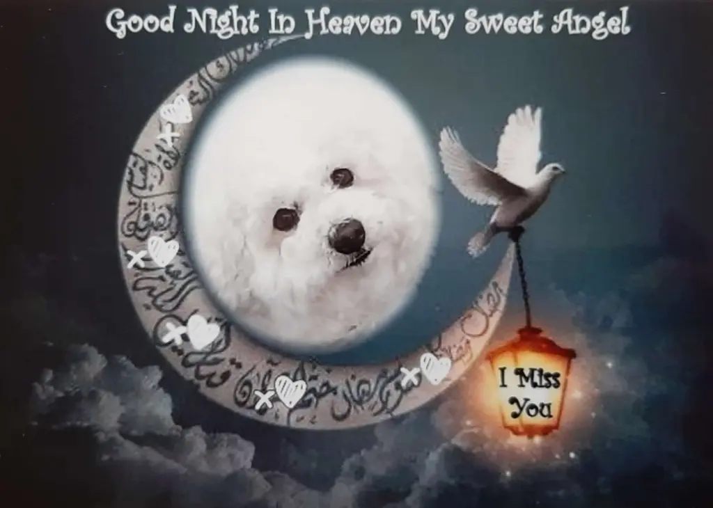 Condolence image of Deine Mama
