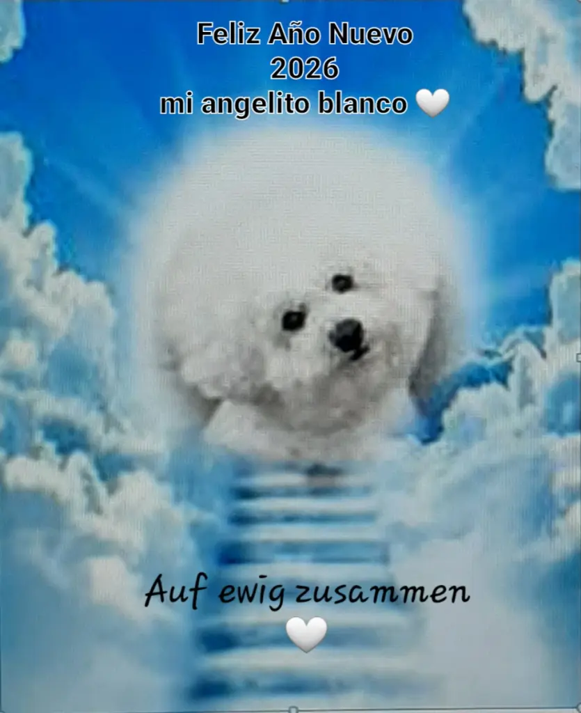 Condolence image of Deine Mama Dulce