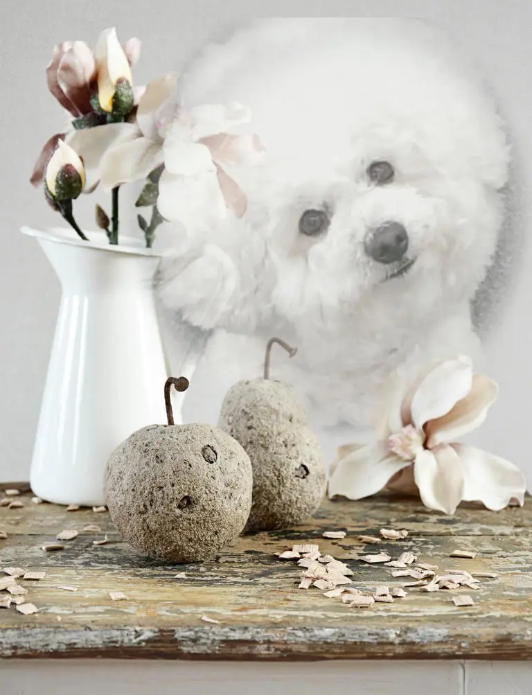 Condolence image of Deine Mama Dulce