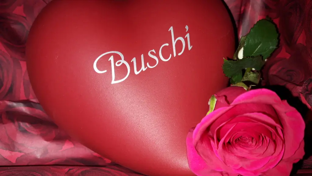 Image from Buschi