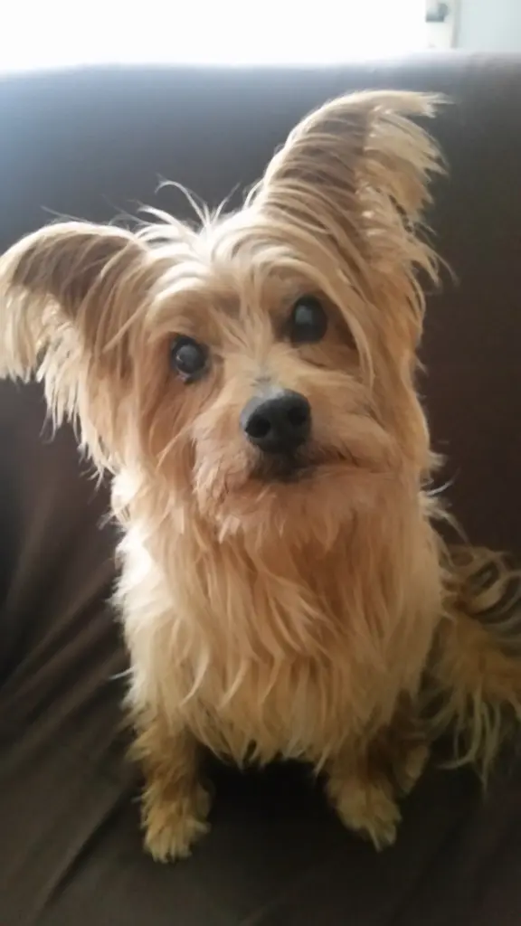 Image from Meiky