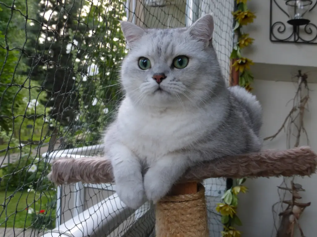 Condolence image of Beate