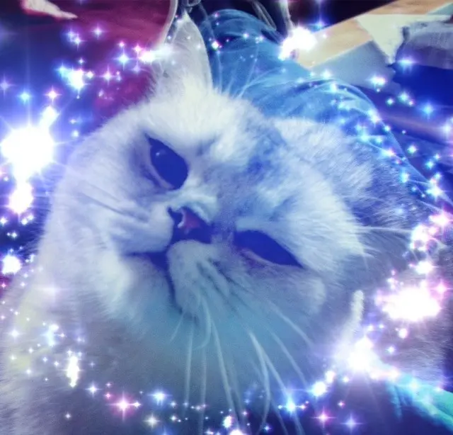 Image from Gismo