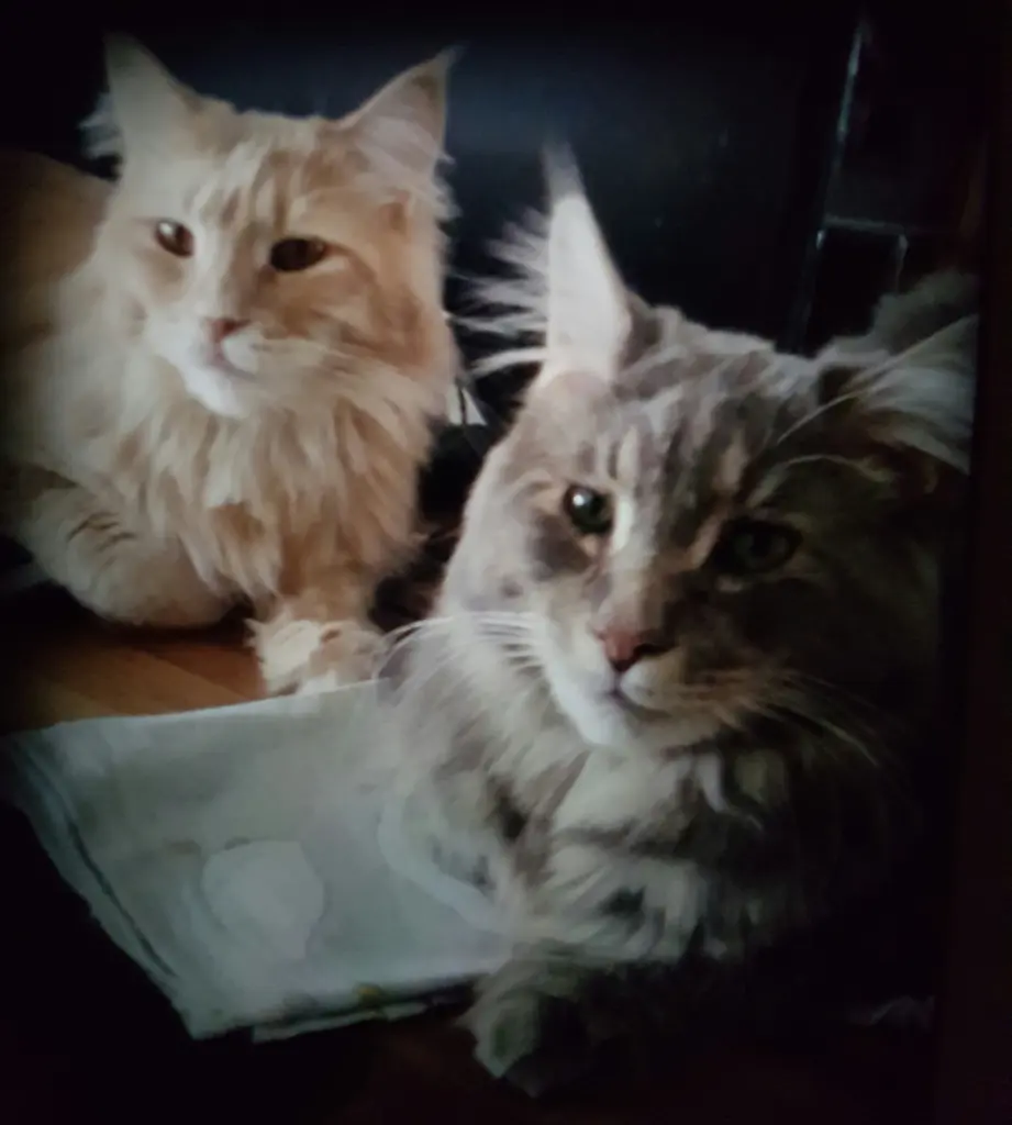 Condolence image of Brigitta mit Sam