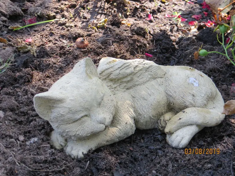 Condolence image of USchi mit Seelenfreunden Shiva. Jojo und Merlin