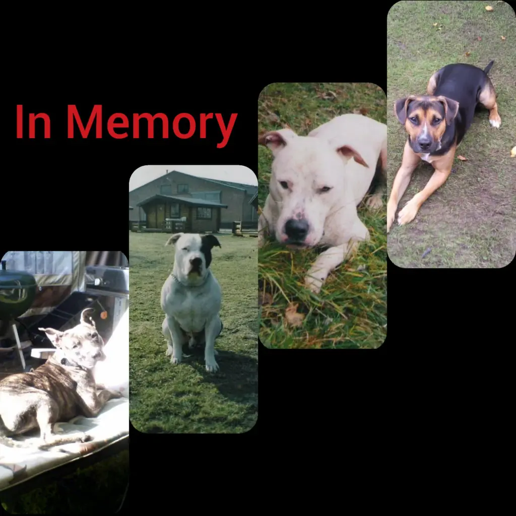 Condolence image of Elke