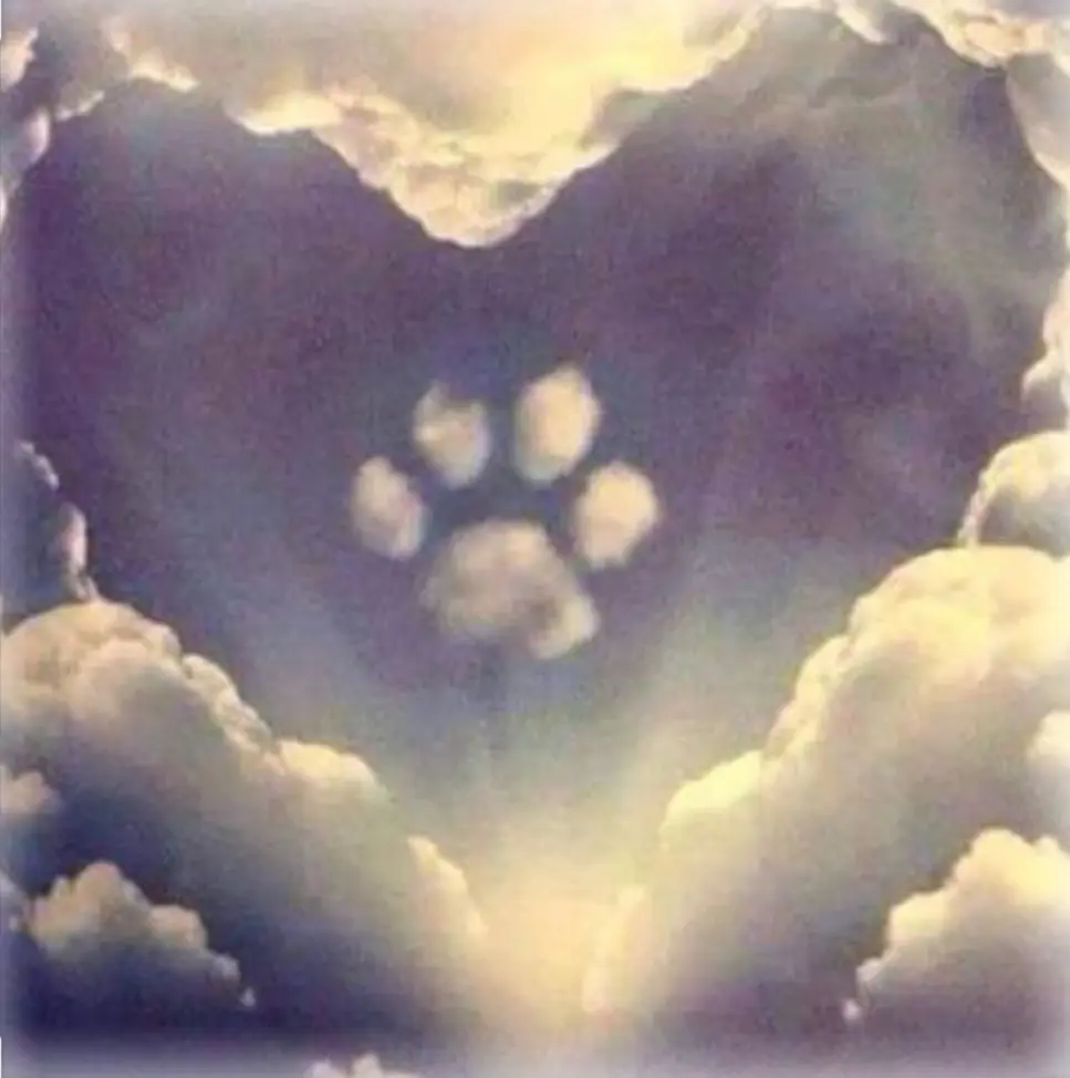 Condolence image of Unbekannt