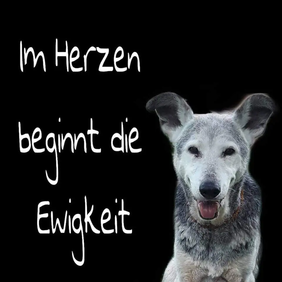 Condolence image of Sigrid