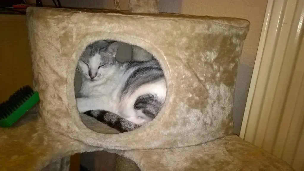 Condolence image of Sigrid