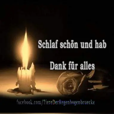Condolence image of Sigrid