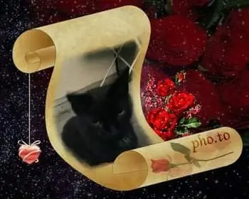 Condolence image of Sigrid