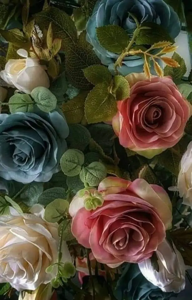 Condolence image of Sigrid