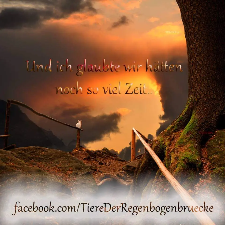 Condolence image of Sigrid