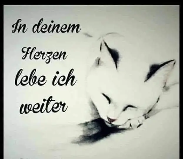 Condolence image of Sigrid