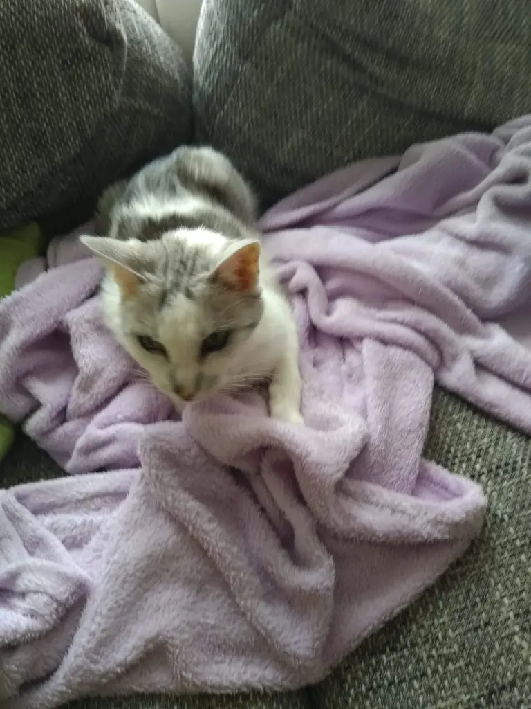 Condolence image of Sigrid
