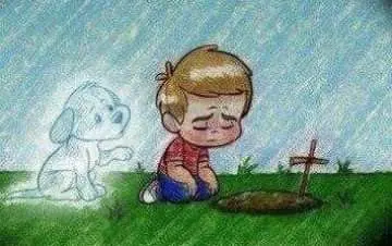 Condolence image of Sigrid