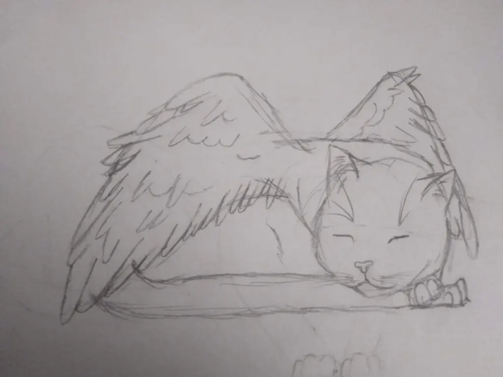 Condolence image of Sigrid