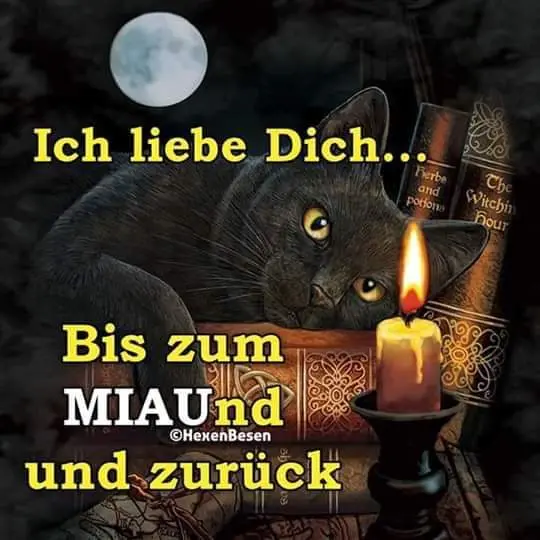 Condolence image of Sigrid