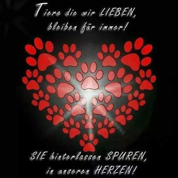 Condolence image of Sigrid