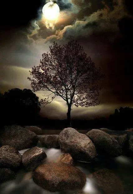 Condolence image of Sigrid