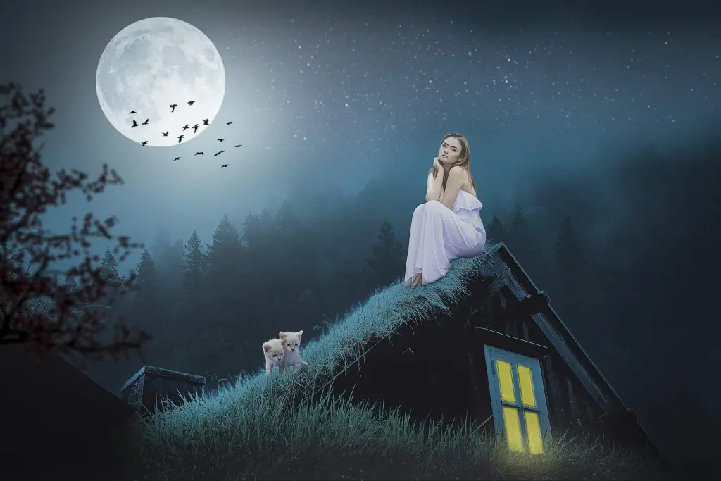Condolence image of Sigrid