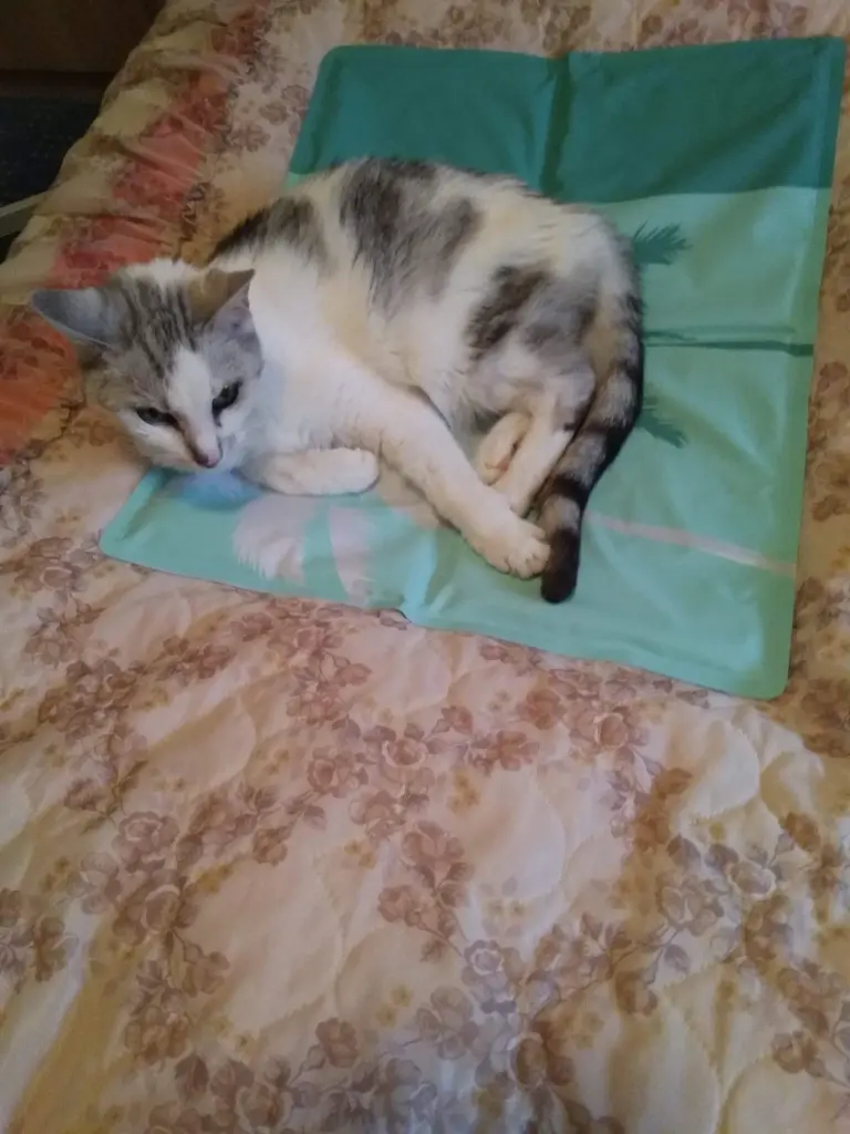 Condolence image of Sigrid