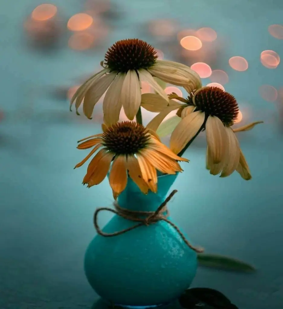 Condolence image of Sigrid
