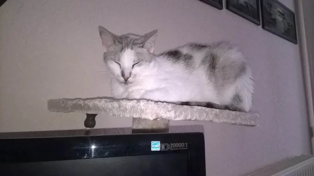Condolence image of Sigrid