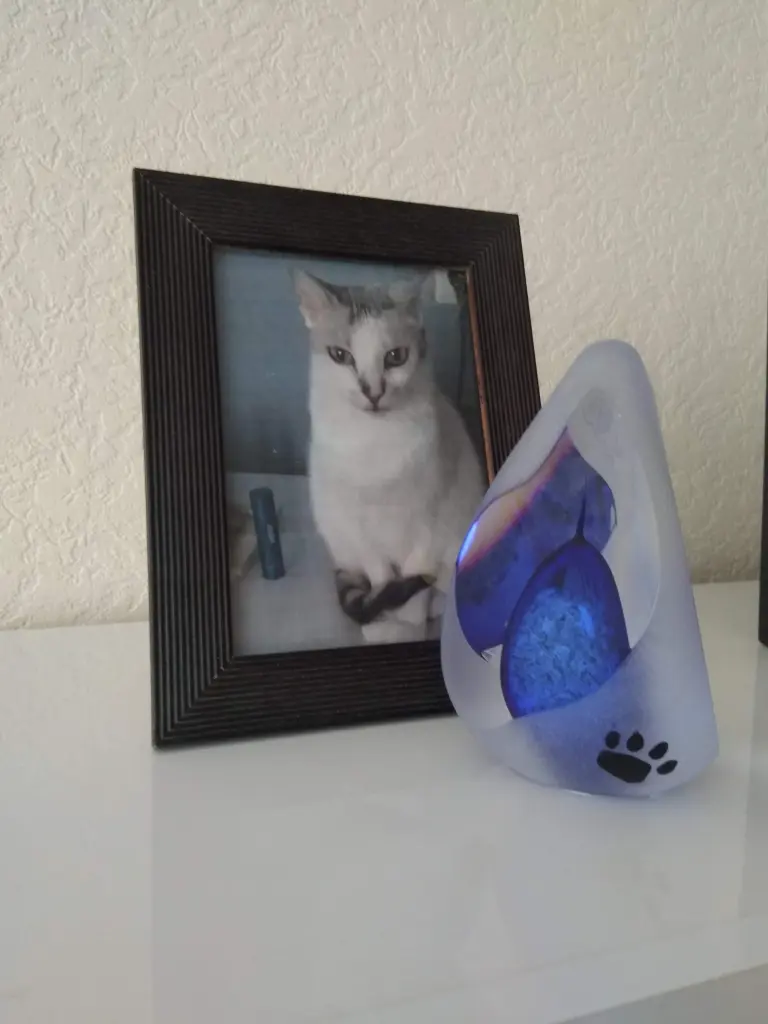 Condolence image of Sigrid