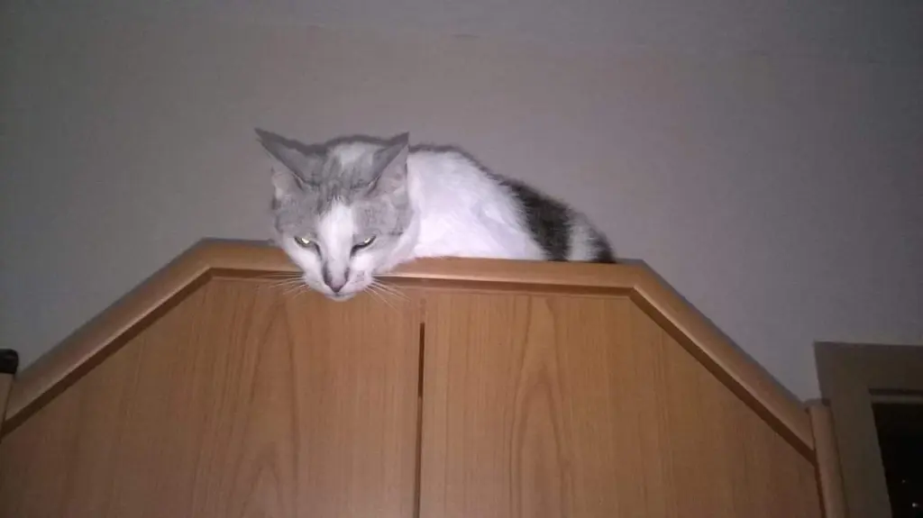 Condolence image of Sigrid