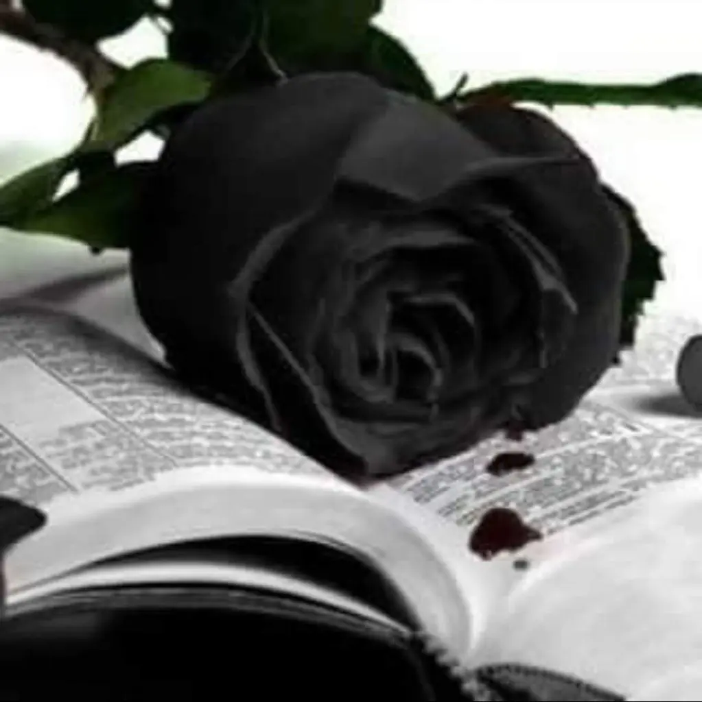 Condolence image of Sigrid