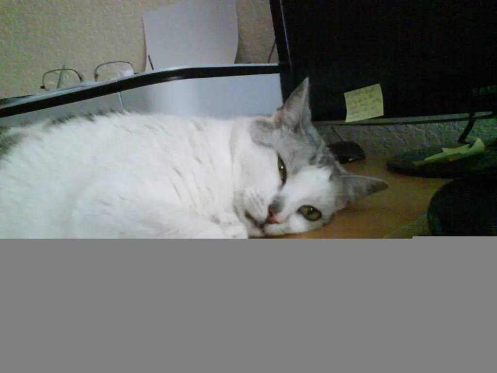 Condolence image of Sigrid