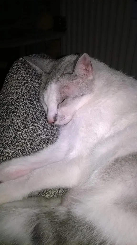 Condolence image of Sigrid
