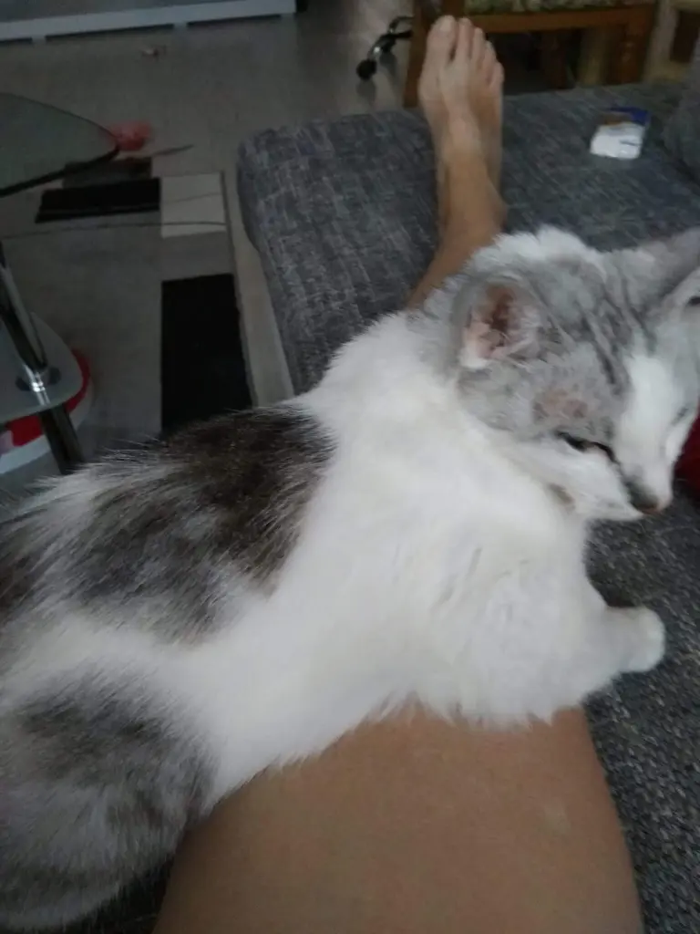 Condolence image of Sigrid