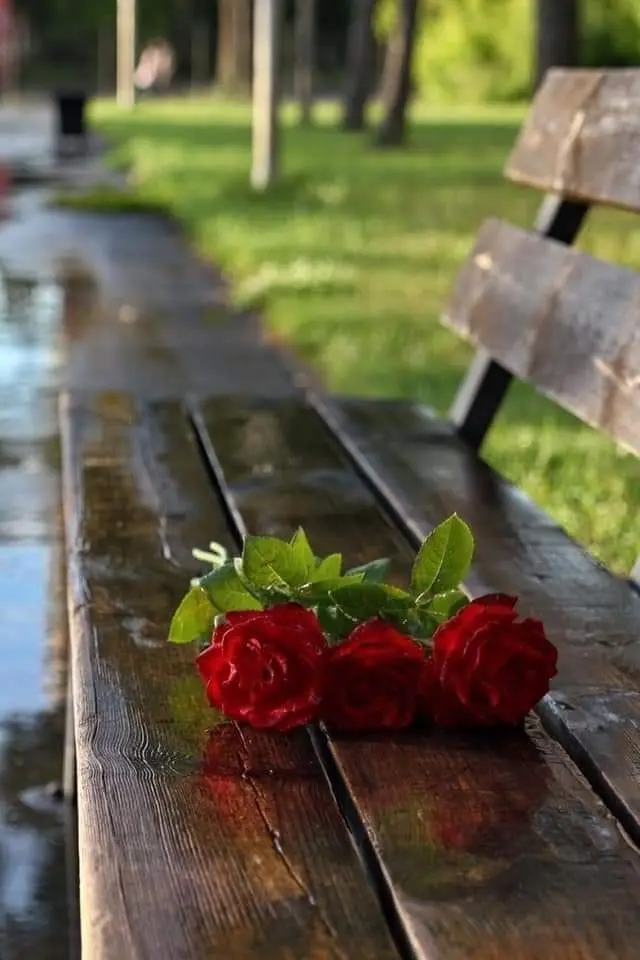 Condolence image of Sigrid
