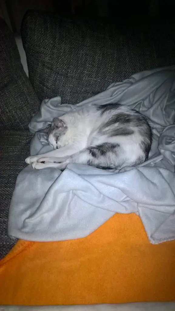 Condolence image of Sigrid