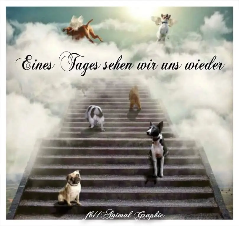 Condolence image of Sigrid
