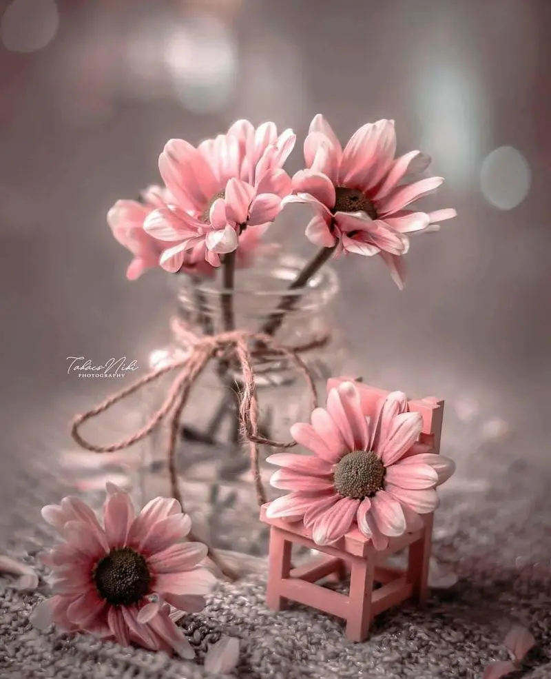 Condolence image of Sigri