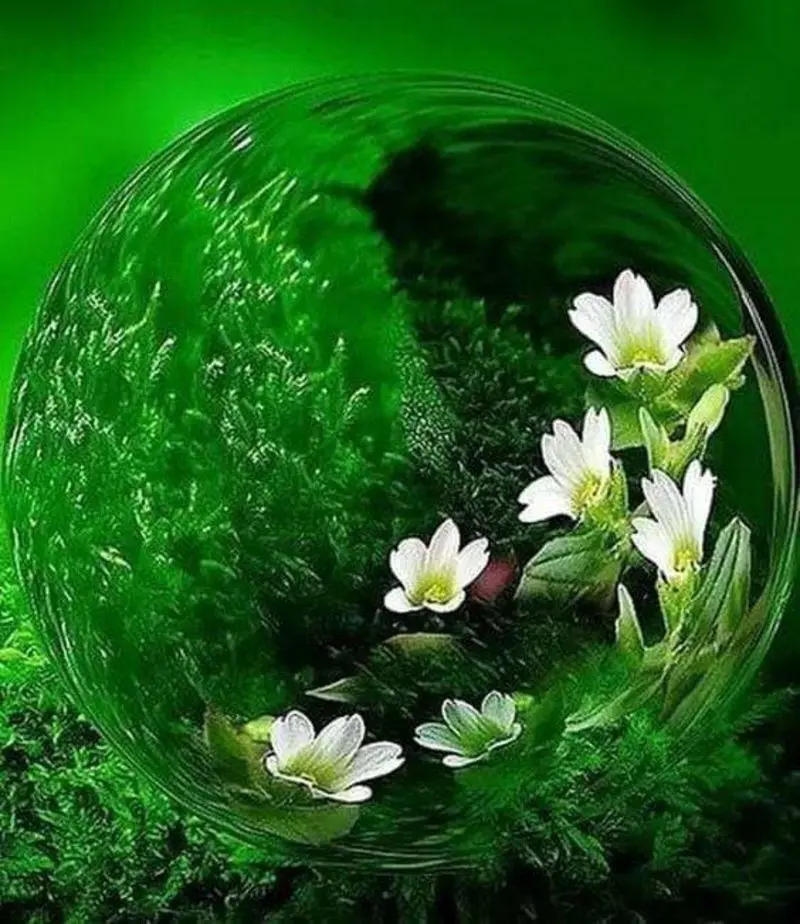Condolence image of Sigrid