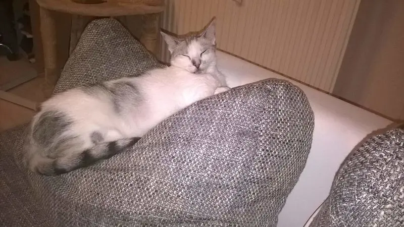 Condolence image of Sigrid