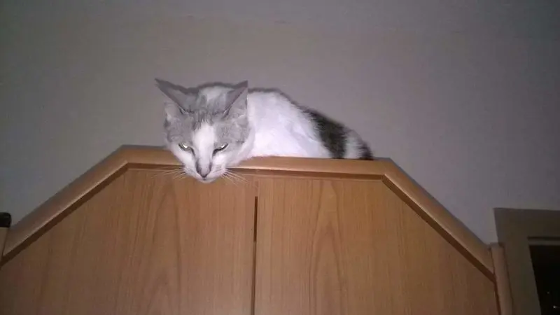 Condolence image of Sigrid