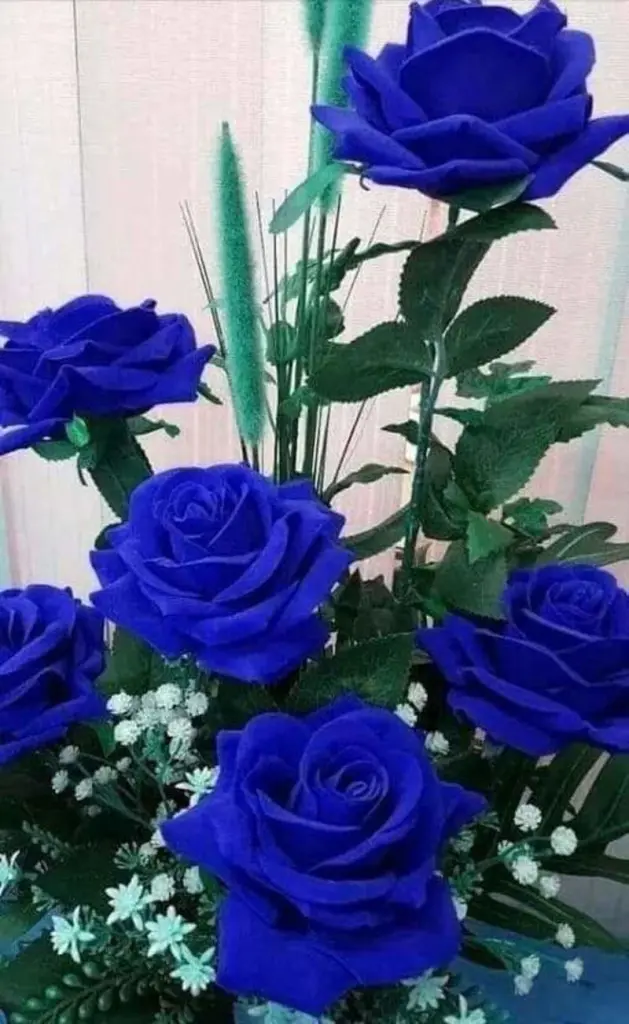 Condolence image of Sigrid