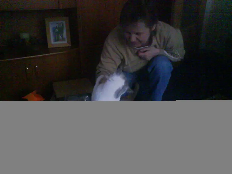 Condolence image of Sigrid