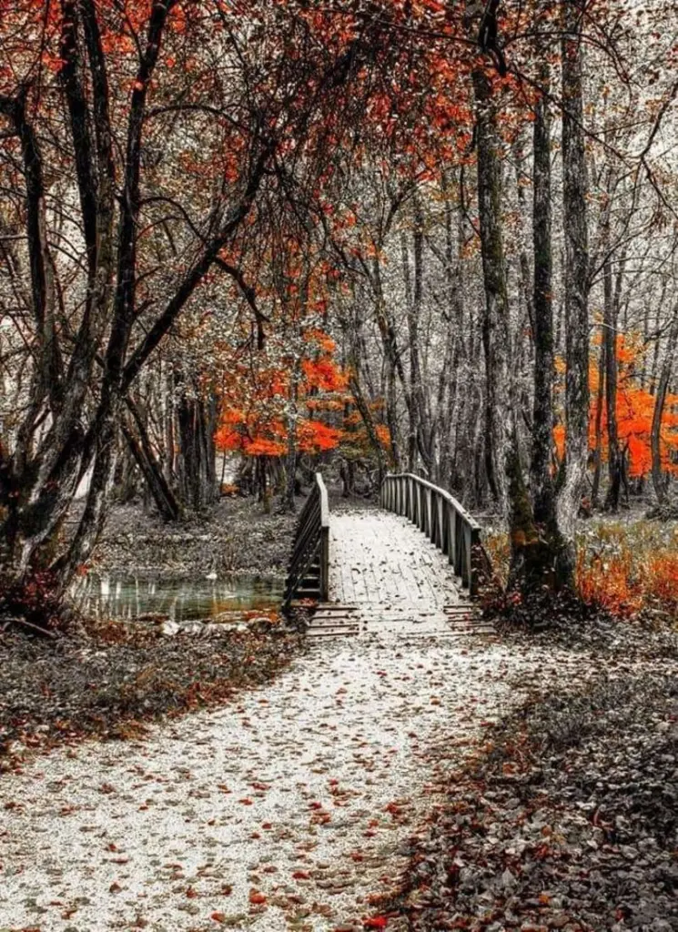 Condolence image of Sigrid