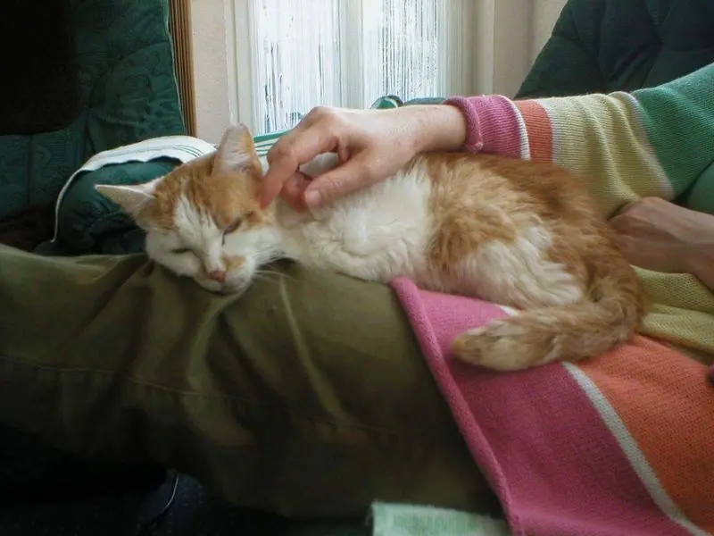 Condolence image of Sigrid